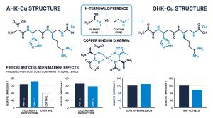 AHK-Cu copper peptide research mechanism infographic, Next Level Pharm