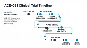 ACE-031 clinical trial timeline from Phase 1 dose-escalation through Phase 2 DMD trial pause
