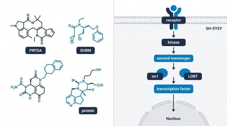 Diagram comparing methylcobalamin, cyanocobalamin, and hydroxocobalamin molecular structures beside SH-SY5Y cell illustration