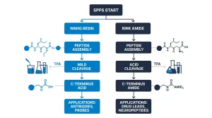 Infographic comparing Wang resin and Rink Amide resin in SPPS with C-terminus outcomes and common research applications