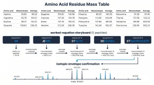 Amino acid residue mass table showing monoisotopic and average masses for all 20 standard amino acids, with a worked example for a five-residue peptide