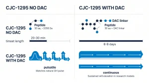 Side-by-side comparison timeline: CJC-1295 No DAC (left) vs CJC-1295 with DAC (right). No DAC row: peptide (30 aa, ~3358 Da), half-life bar "20-30 min", release pattern "pulsatile — matches natural GH pulse". With DAC row: peptide (30 aa + DAC linker), half-life bar "6-8 days", release pattern "continuous — sustained elevation in research models". Horizontal timeline bars visually scaled. Each compound labeled with MW and research context. Navy/blue palette, two-column layout, white background.

