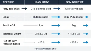 Infographic comparing liraglutide and semaglutide structural features: liraglutide C16 fatty acid chain molecular weight 3751.2 Da half-life 13 hours, semaglutide C18 diacid chain via mini-PEG molecular weight 4113.6 Da half-life 168 hours in pharmacokinetic models, both GLP-1(7-37) analogs with Aib at position 8, for research purposes only
