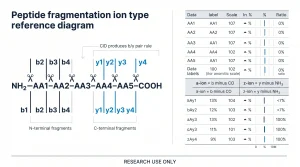 Infographic comparing peptide fragment ion types in mass spectrometry: b ions from N-terminal end, y ions from C-terminal end, a ions equal b minus CO, z ions equal y minus NH3, CID produces mainly b and y ions for sequence confirmation in research peptide quality testing, for lab use only