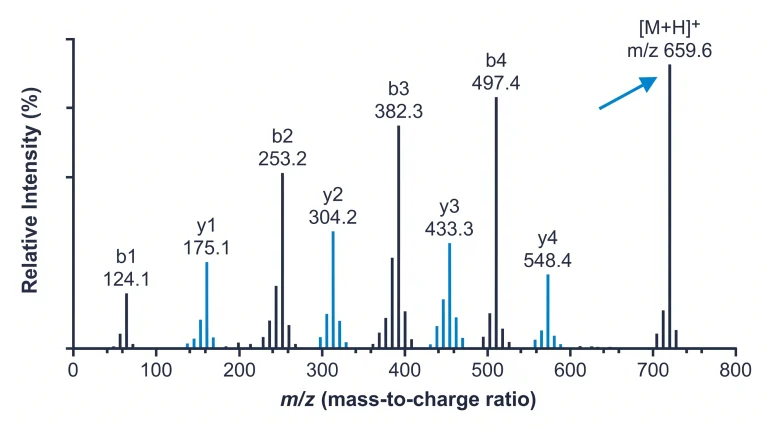 Diagram showing peptide ion fragmentation in MS/MS: intact peptide parent ion selected by first mass spectrometer, CID collision with argon gas breaks amide bonds, b ions form from N-terminal end, y ions form from C-terminal end, fragment ion spectrum plotted for sequence confirmation in research-grade peptide quality testing, for lab use only