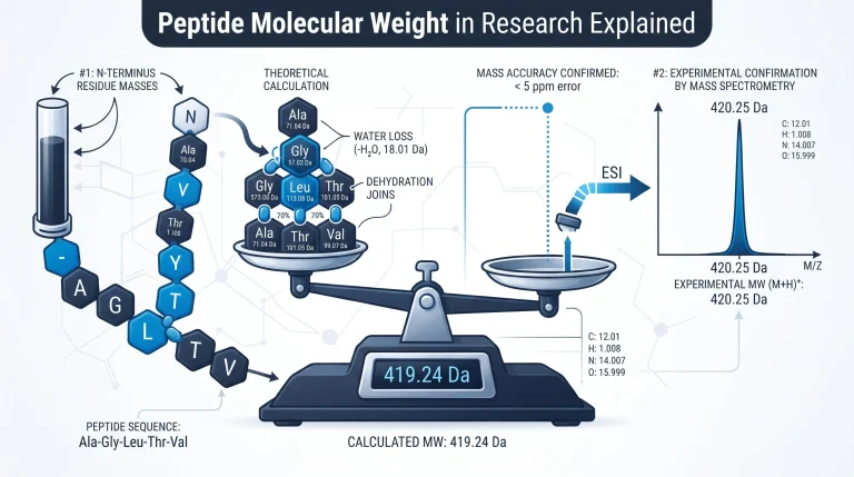 Diagram showing how peptide molecular weight is calculated from amino acid sequence and confirmed by mass spectrometry, with a sample mass spectrum peak
