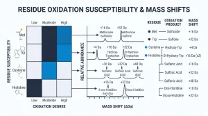 Residue oxidation table showing Met, Trp, cysteine, and histidine susceptibility, with mass shifts for each oxidation product