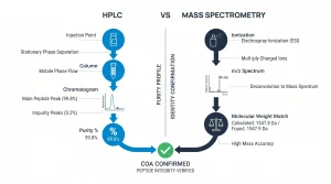 Position
Filename (WebP)
Alt Text
Hero (header)
hplc-vs-mass-spectrometry-in-peptide-testing-research-visual.webp
HPLC chromatogram for a research peptide showing the main peak area percent used to calculate purity, with minor impurity peaks labeled.
Infographic #1
hplc-vs-mass-spectrometry-in-peptide-testing-infographic.webp
Side-by-side comparison of HPLC (chromatogram output, purity %) and mass spectrometry (m/z spectrum, molecular weight match) for a research peptide COA.