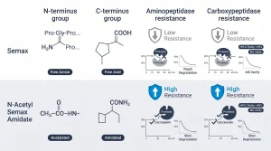 Side-by-side comparison of Semax vs N-Acetyl Semax Amidate showing N-terminus and C-terminus groups, protease sensitivity, and stability in media, with HPLC and MS verification labels