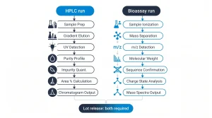 Comparison flowchart showing how HPLC and MS complement each other in the full purity-and-identity testing workflow for a research peptide lot.