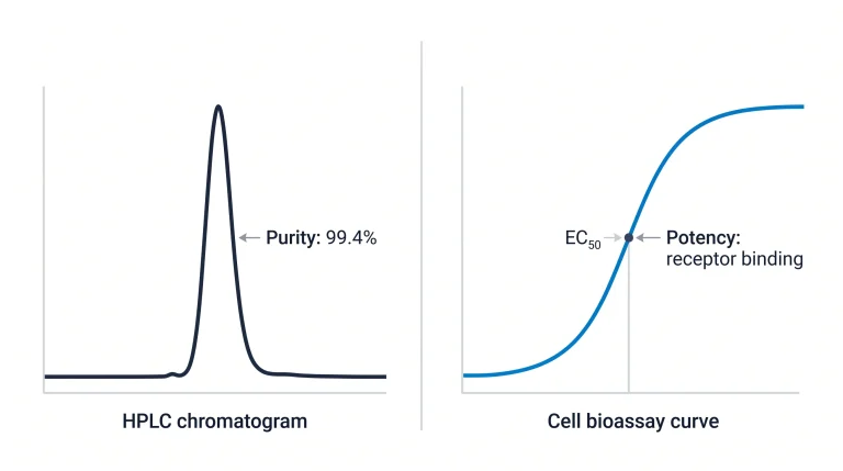 Side-by-side visual comparing a chromatogram (purity) and a response curve (potency) for the same research peptide lot.
