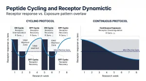 Common cycling plan errors in peptide research, including short gaps, half-life misalignment, and inconsistent session timing