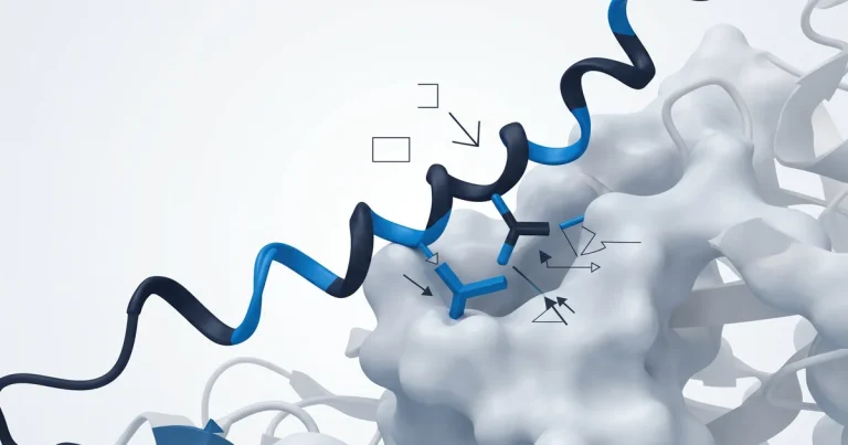 What Is a Peptide Bioassay? Research Methods Explained